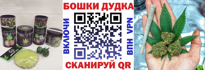 kraken ONION  Черноголовка  Cannafood конопля 