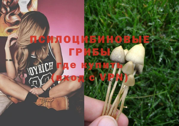 спайс Балахна