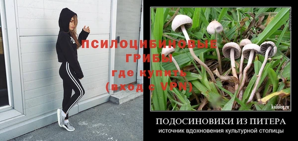 спайс Балахна